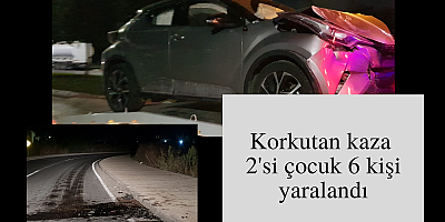 Korkutan kaza 2'si çocuk 6 kişi yaralandı