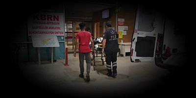 Korkutan kazada 2 kişi yaralandı