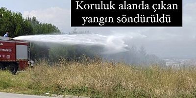 Koruluk alanda çıkan yangın söndürüldü
