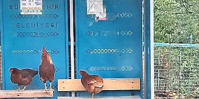 “Köylümüz Düğüne Gidemiyor”