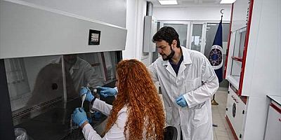Koyun kalp kapakçığından insanlarda kullanılabilecek kalp kapakçığı implantı üretildi