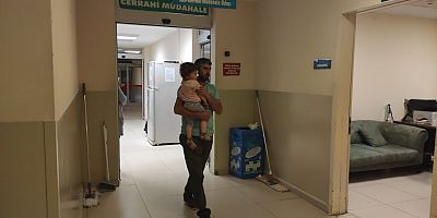 Küçük  çocuğu köpek ısırdı