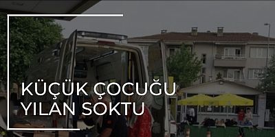 KÜÇÜK ÇOCUĞU YILAN SOKTU