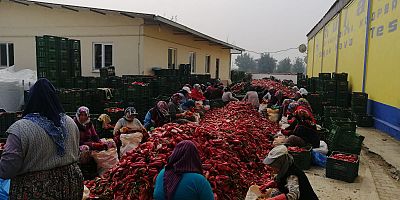 KULACA KOOPERATİFİ ÜLKE GENELİNDE İLK 5 İÇİNDE