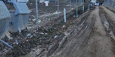 Kurşunlu Travertenleri İçin Muhtardan Yetkililere Çağrı