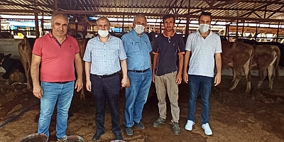 LAFLA PEYNİR GEMİSİ YÜRÜMEZ