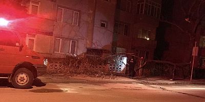 Lodos ağacı devirdi