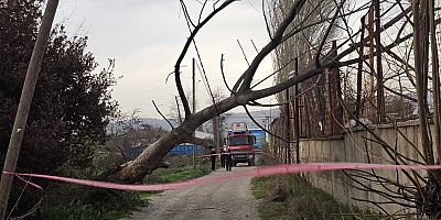Lodos, İnegöl'ü toz bulutu ile kapladı