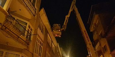Mahsur kalan kediyi itfaiye ekipleri kurtardı