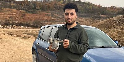 Mahsur kalan mavi balıkçıl kuşunu doğa gezisine çıkan gençler kurtardı