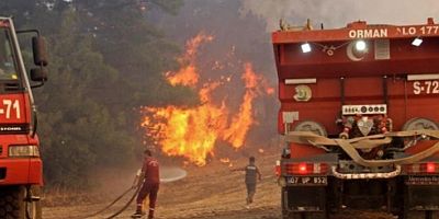 Manavgat'ta 2 yangın işçisi hayatını kaybetti