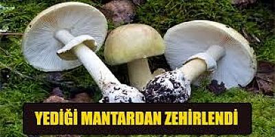 Mantardan zehirlenen 8 yaşındaki çocuk tedavi altına alındı