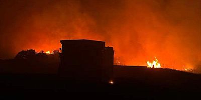 Marmara Adası'nda makilik alanda çıkan yangın kontrol altında