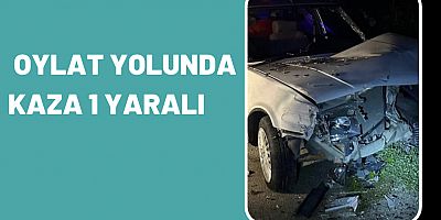 Oylat yolunda kaza 1 yaralı