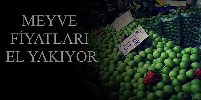 MEYVE FİYATLARI EL YAKIYOR