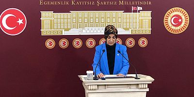 Milletvekili Gürel, beklenen raporu okudu