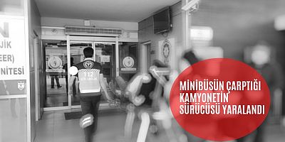 Minibüsün çarptığı kamyonetin sürücüsü yaralandı