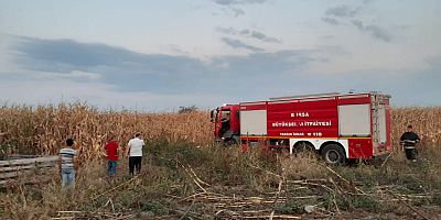 MISIR TARLASINDA YANGIN