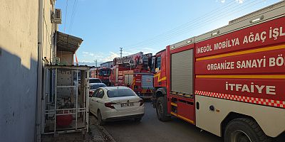 Mobilya İmalathanesinin Bacasında Yangın: İtfaiye Kısa Sürede Söndürdü