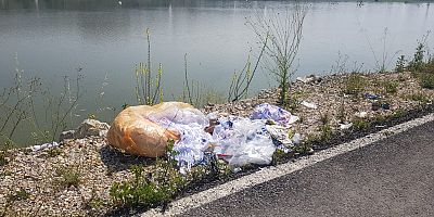 Mobilya üretim atıkları Doğaya böyle saçıldı