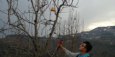 OCAK AYINDA DALINDA ARMUT