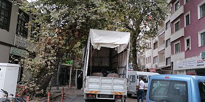 ÖNLEM ALINMAZSA YOK OLACAK