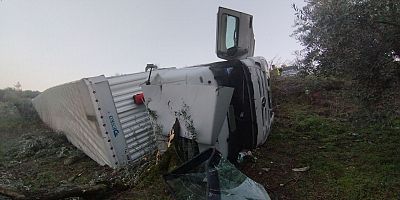 Orhangazi'de zeytinliğe devrilen tırın sürücüsü yaralandı