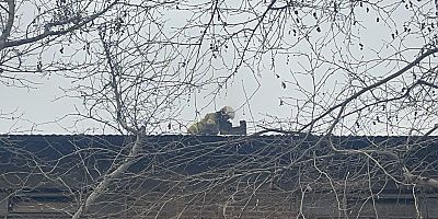 Orhaniye Mahallesi’nde Ahşap Binada Baca Yangını Korkuttu