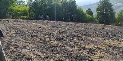 Orman yangını ihbarına giden ekipler, tarla sahibine ceza kesti