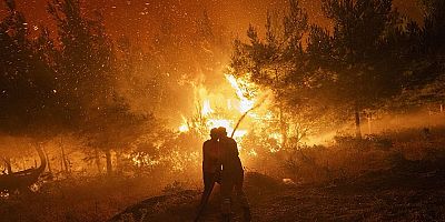 Orman Yangınlarında Son Durum