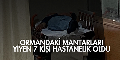 Ormandaki mantarları yiyen 7 kişi hastanelik oldu