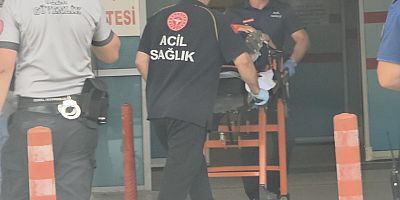 Ortaköy Yolunda Motosiklet Kazası: Sürücü Yaralandı