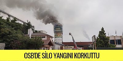 OSB'DE SİLO YANGINI KORKUTTU