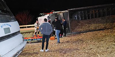 Talaş yüklü TIR devrildi: Sürücü hastanede hayatını kaybetti