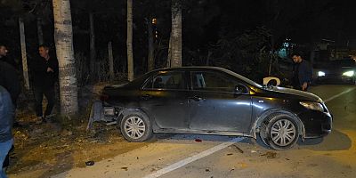 Otomobil Ağaçlara Çarptı