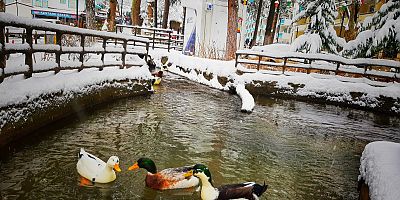 Oylat kar hasretini dindirdi