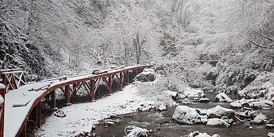 Oylat'ta baş döndüren güzellik