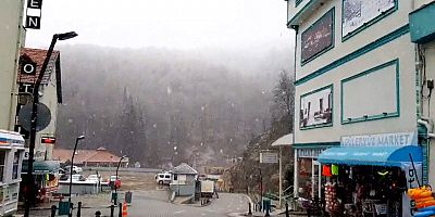 Oylat'ta kar yağışı başladı 