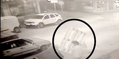 Palet hırsızı güvenlik kameralarına yakalandı