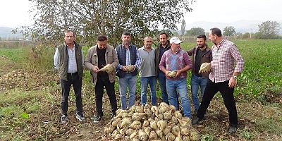 Pancar hasadı sancılı başladı
