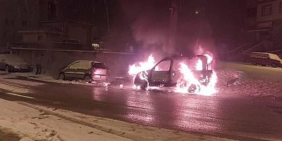 Park halindeki araç alev topuna döndü