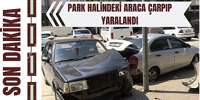 Park halindeki araca çarpıp yaralandı