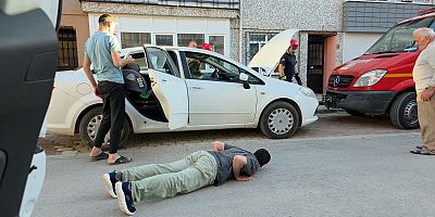 Park Halindeki Otomobile Giren Yılan Paniğe Neden Oldu