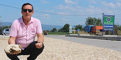 PATENTLİ İNEGÖL ALASI GÜNDEN GÜNE ERİYOR