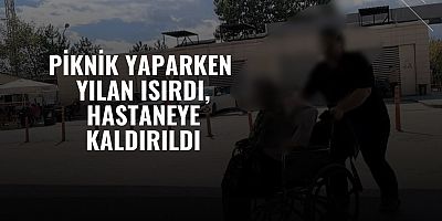 Piknik yaparken yılan ısırdı, hastaneye kaldırıldı