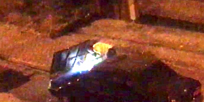 POLİS ŞİKÂYET ÜZERİNE ARACI ÇEKTİ ARAÇ SAHİBİ ARABAM ÇALINDI DİYE İHBARDA BULUNDU