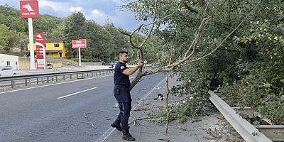 RÜŞTİYE MEVKİİNDE YOLA AĞAÇ DEVRİLDİ