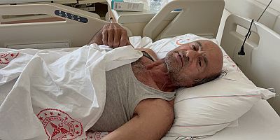 Sakarya’da Ayı saldırısına uğradı: Canını ağaca tırmanarak kurtardı