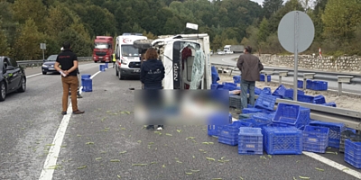 SEBZE YÜKLÜ KAMYON YAN YATTI