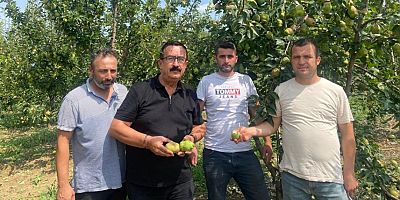 Sezai Çelik, bahçelerdeki zararı açıkladı;